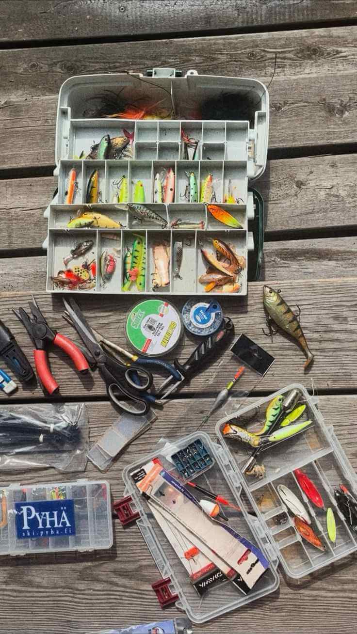 Fishing Banner Image